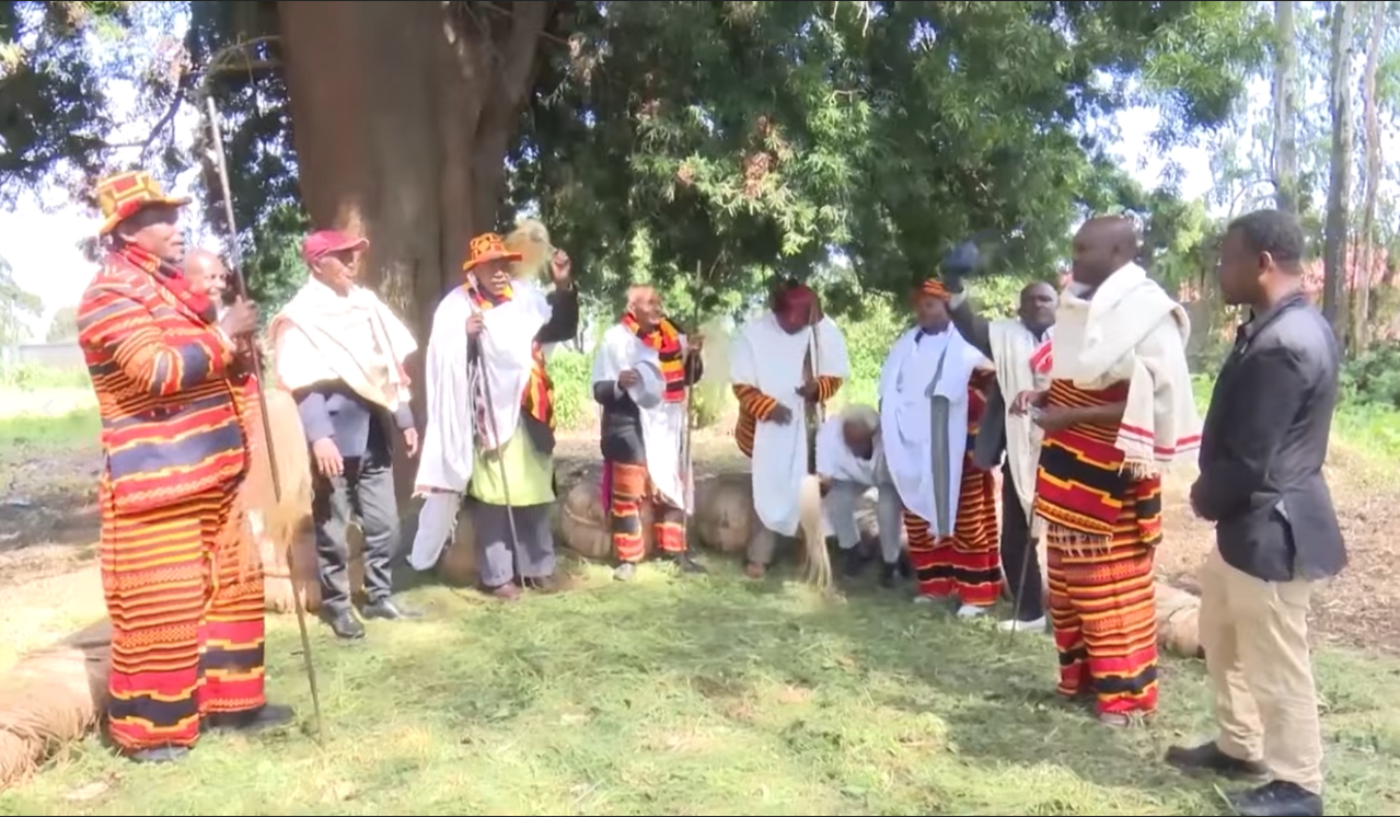 Yoo Yoo Gifaataa Graphic